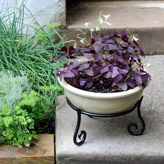 Elegant Super Heavy Planter Stand