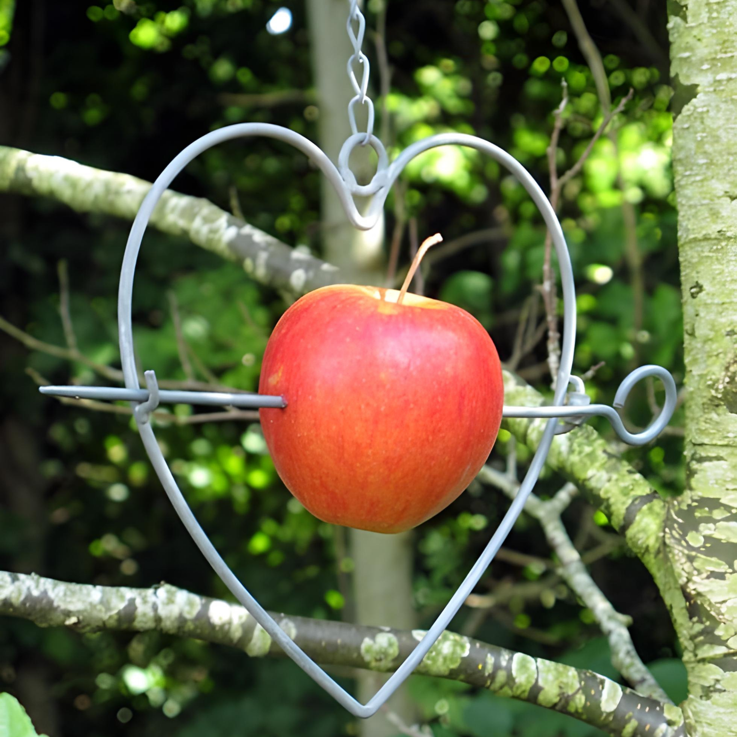 Rod iron Heart shape Birds feeder