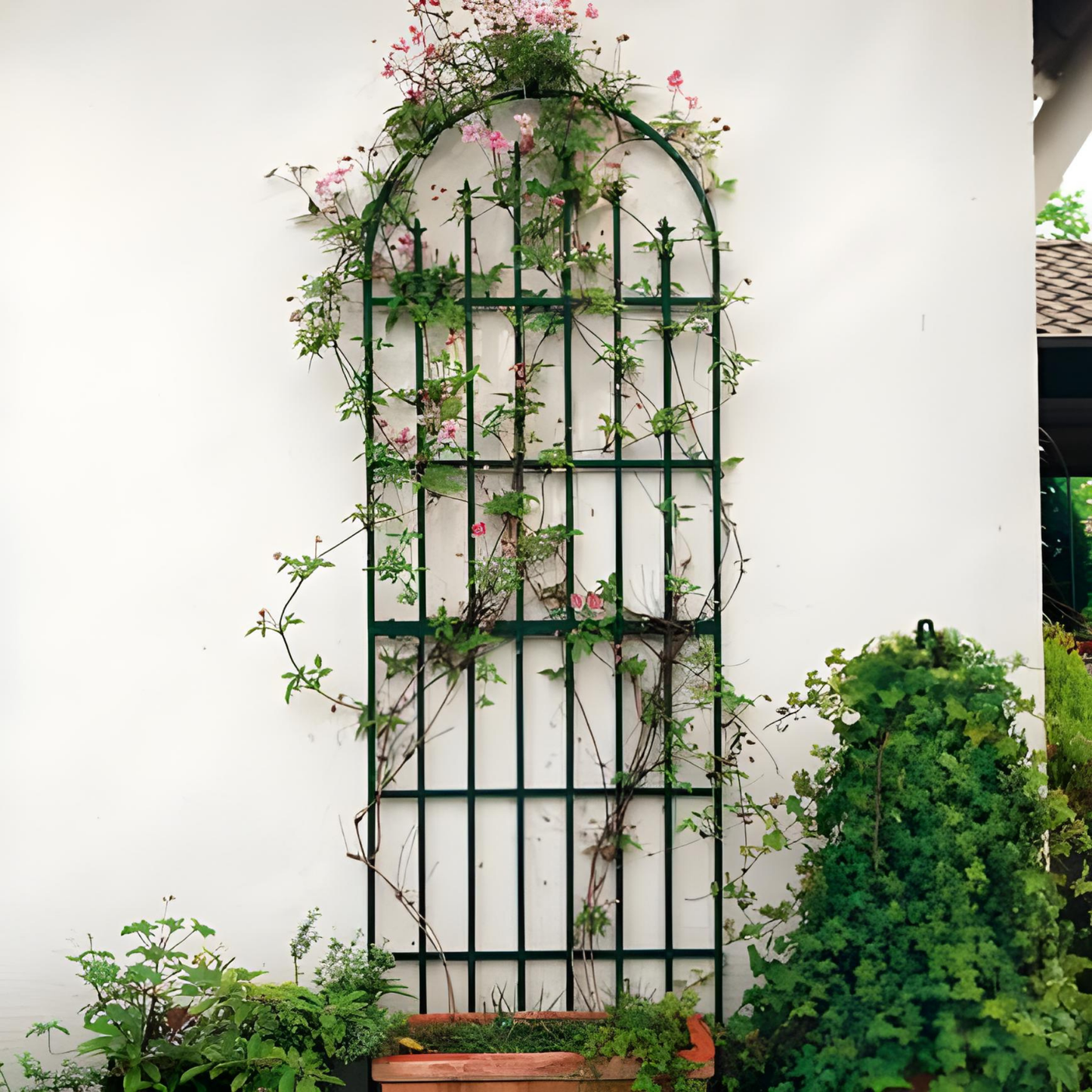 Iron Trellis HV720