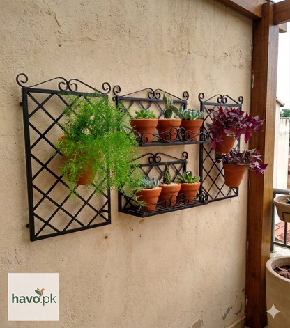 Set of Wall Hanging PLanter Shelf and Trellis