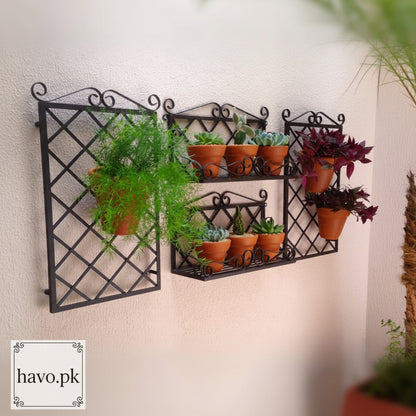 Set of Wall Hanging PLanter Shelf and Trellis